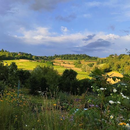I Conti della Serva Cinzano Esterno foto