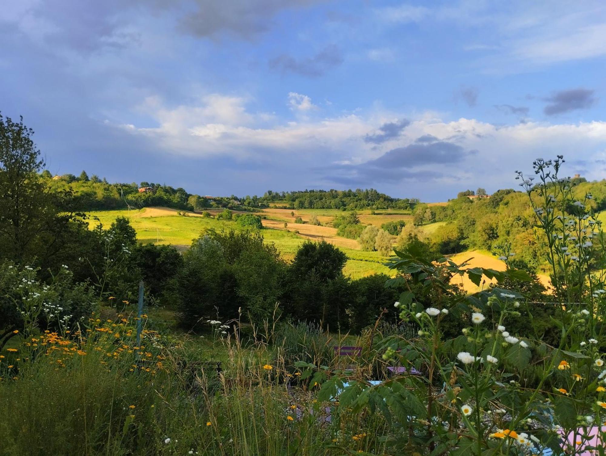 I Conti della Serva Cinzano Esterno foto